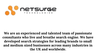 Digital Marketing Company - Netsurge