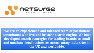 Web Design & Development Services - Netsurge