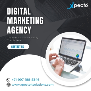 digital  marketing agency