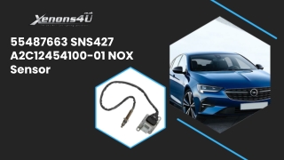 Continental SNS427 NOX Sensor