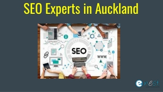 SEO Experts in Auckland