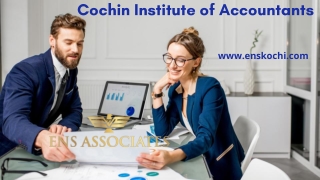 Tnstitute of Professional Accountants