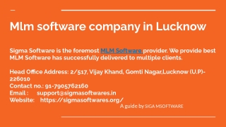 Mlm software company in Lucknow