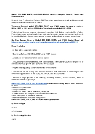 Global DDI (DNS, DHCP, and IPAM) Market Industry Analysis, Growth, Trends and Fo
