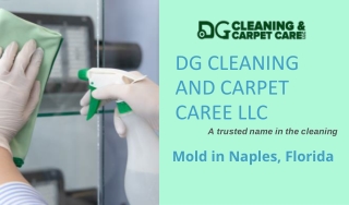 Hire Professionals for Mold removal in Naples FL