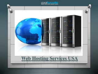 Web Hosting Services USA