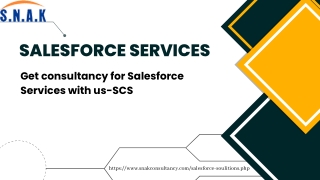 et consultancy for Salesforce Services with us-SCS