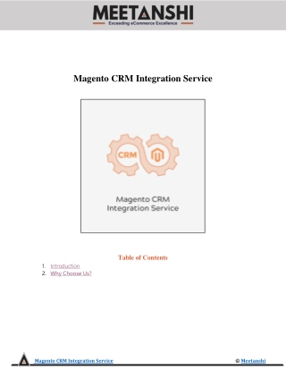 Magento CRM Integration Service