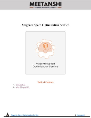 Magento Speed Optimization Service