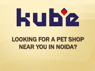Looking For A Pet Shop Near You In Noida?