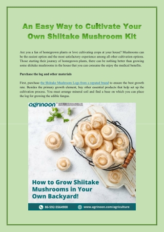 An Easy Way To Cultivate Your Own Shiitake Mushroom Kit