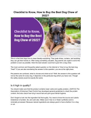 Checklist to Know, How to Buy the Best Dog Chew of 2022?