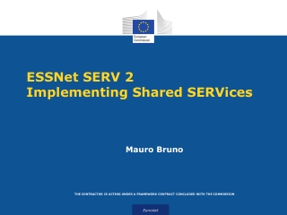 ESSNet SERV 2 Implementing Shared SERVices