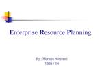 Enterprise Resource Planning By : Morteza Noferesti 1385