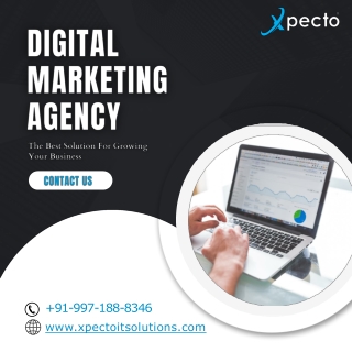 digital  marketing agency