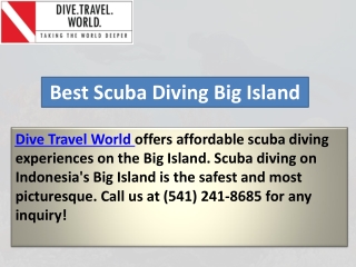 Best Scuba Diving Big Island