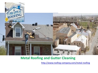 Metal Roofing and Gutter Cleaning