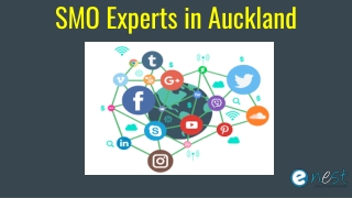 SMO Experts in Auckland