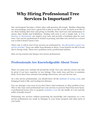 Why Hiring Professional Tree Services Is Important_