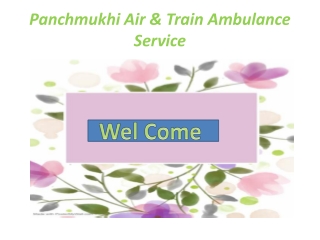 Panchmukhi Air & Train Ambulance Service in Model Town,