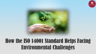 How the ISO 14001 Standard Helps Facing Environmental Challenges