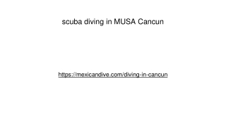 Cancun diving prices