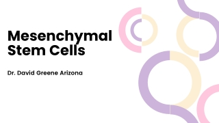 Mesenchymal Stem Cells | Dr. David Greene Arizona