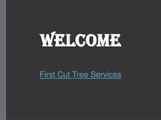 Specialist in Tree Removal in Kingskerswell