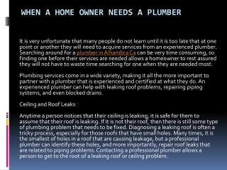 Home Owner Needs a Plumber