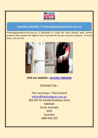 Termites Adelaide | Thelocalguyspestcontrol.com.au