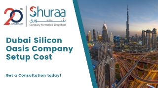 Dubai Silicon Oasis Company Setup Cost