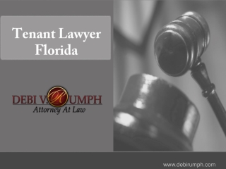 Tenant Lawyer Florida