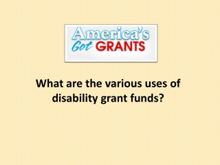 What are the various uses of disability grant funds ?