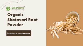 Organic Shatavari Root Powder