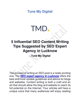 SEO Expert Agency in Lucknow-Tune My Digital