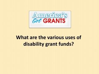 What are the various uses of disability grant funds ?