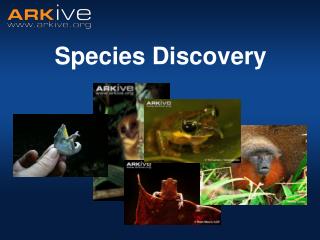 Species Discovery