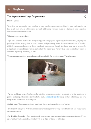 The importance of toys for your cats.