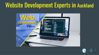 Website Development Experts in Auckland
