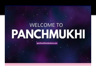 Panchmukhi Air & Train Ambulance Service in Nehru place, Delhi NCR