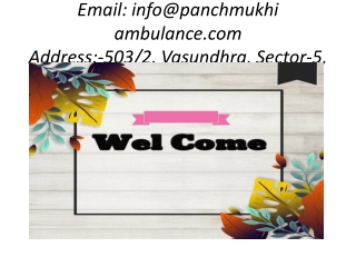 Panchmukhi Air & Train Ambulance Service in Delhi, NCR