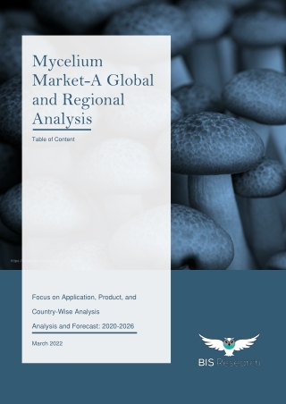 Mycelium Overview and its Market Analysis