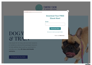 Affordable Dog Walkers Canberra