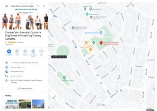 Canberra Dog Trainer