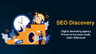 SEO Discovery
