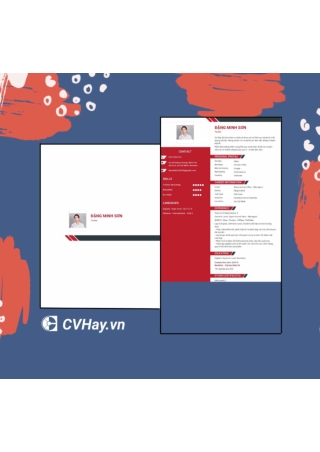 Tester_Dang_Minh_Son_CVHay_vn