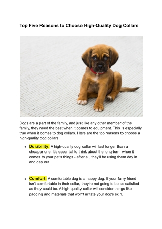 Top Five Reasons to Choose High-Quality Dog Collars