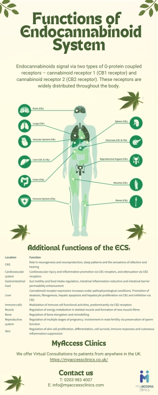 Functions of the Endocannabinoid System