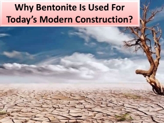 Define success in today's bentonite raw resources