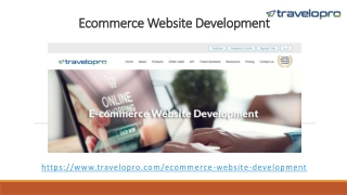 Ecommerce Website Development